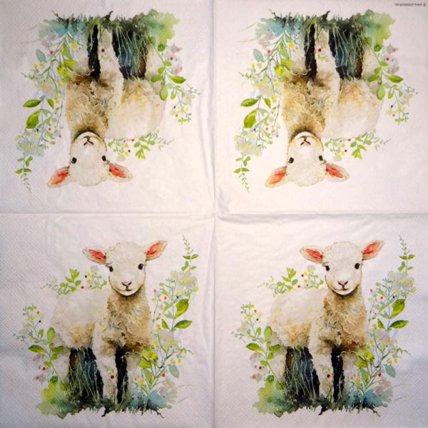 011 Sheep - 3-ply (11)